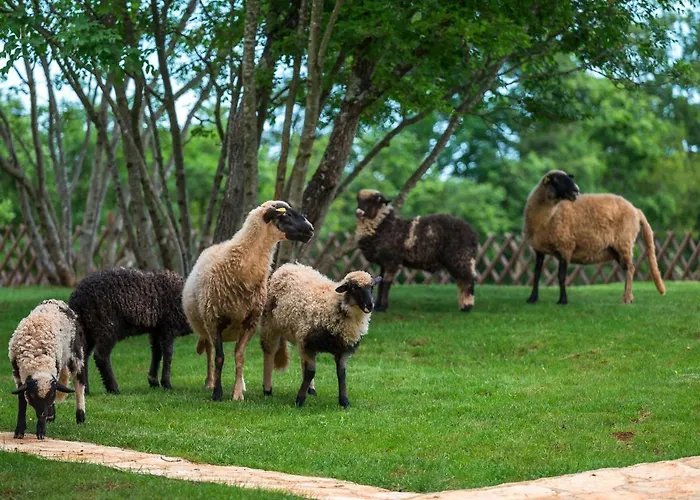 Monaco Svetvinčenat